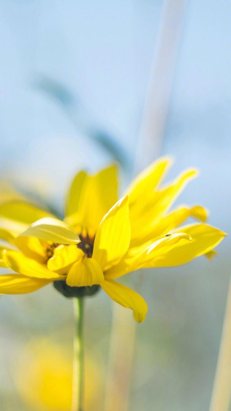 10.世界上没有任何东西可以被遗忘和遗弃。废弃的房屋会倒塌,废弃的布料会腐烂,废弃的时候友谊会变弱,废弃的时候幸福会消失,而废弃的时候爱情也会消失。解散。-莫洛亚