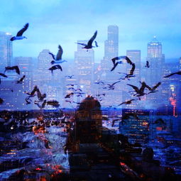 9.道路上总是有一段只能由您步行；总有很多东西需要单独携带。