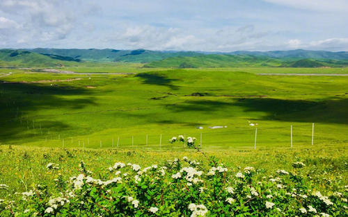 12.家庭之情是父亲举起的手掌,颤抖的嘴唇和一张讨厌钢铁的生气的面孔。