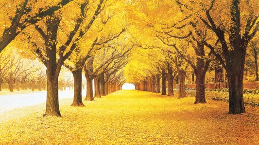 12.很多年前,我给您发送了一条短信。因为祝福太多,太多,所以多年以后,我才寄给您:儿童节快乐!愿您成为世界上最幸福,最幸福,最聪明,最可爱的孩子,最美丽的孩子!