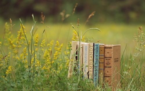 10.我不能再战斗了,我只想过这样和平与简单的生活。