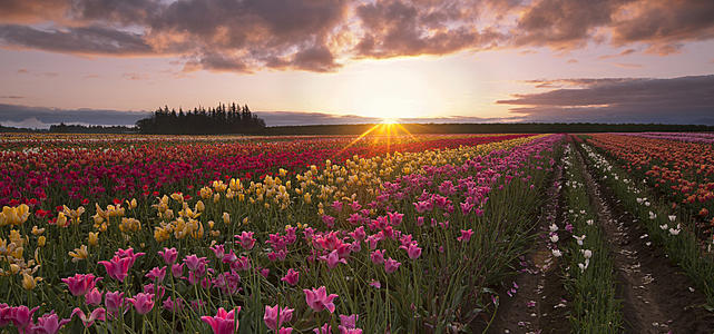 11.在这一天,我们祝世界上所有的孩子都快乐,以儿童节快乐,我们也让每个成年人回到童年,以最纯正的感情和最纯洁的心过着快乐的儿童节!节日快乐!