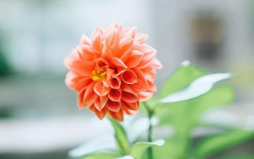 10.当您真正爱上某种东西时，您会发现这种语言多么脆弱和脆弱。言语和情感之间总是存在差距。