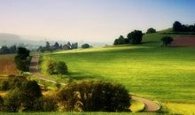 以亲情为话题的优美句子