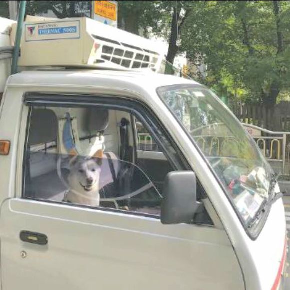 8.老师忙于他们的日程安排。 “在课堂上比较教学，在课堂外拜访成千上万的家庭”会定期进行家访。这是第二次拜访我的家了。我使老师们和老师们更加了解孩子，与他们合作，使孩子更好地全面发展。