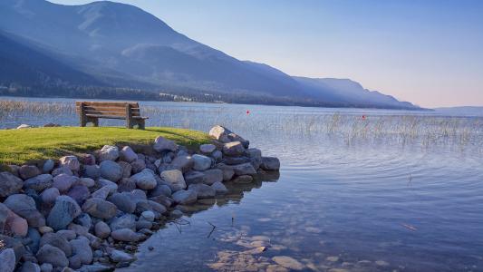 11.家庭感情是灵魂的圣火。只有她的反省，您才能在事业上取得成功。