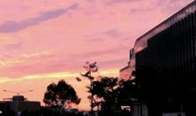 表达亲情心情的句子