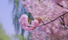 亲情最无情的句子