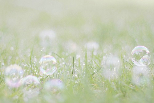 12.家庭感情是无私的,永恒的,甚至更广泛的。感情的力量是无限的。