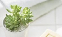 讲究亲情的英语句子