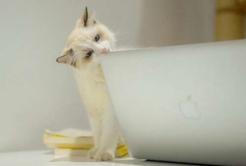 李开复关于学习的鼓舞人心的句子