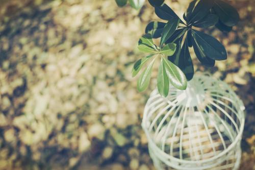 10.我不是一个透明的人，我可以看到你对她说的甜言蜜语。