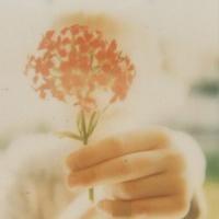 9.我知道你有很多快乐的日子。