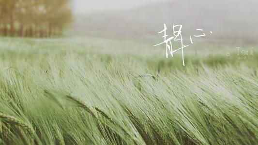 11.我不怕月亮，恐怕下个月到来时，两个分离的词又会落在我们身上！