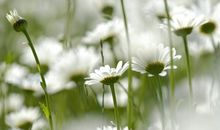 思念亲情的伤感的句子