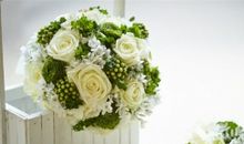 表达亲情真爱的句子