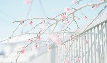 身在他乡对亲情的句子