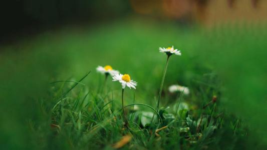 10.家庭感情是一种动机，它使您进入“独自走到高层建筑，看着路的尽头”的境界，并让您持之以恒的“皮带越来越宽”和更广泛的范围，人民将为伊拉克ha。”让您品尝“报告三个弹簧”的快乐。