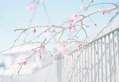 12.母亲节快乐，我们一起祝母亲节快乐。