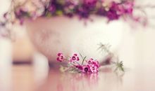 开心面对新生活的句子