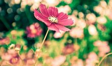 亲情让我感动的句子