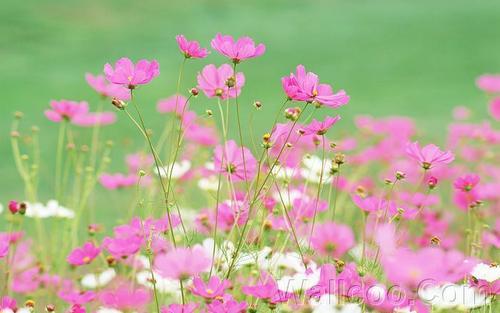 12.母亲在受苦，看不见孩子，孩子在工作，母亲不安。