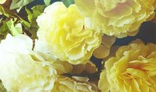 形容思念亲情的句子