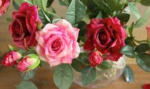 写亲情的古风句子