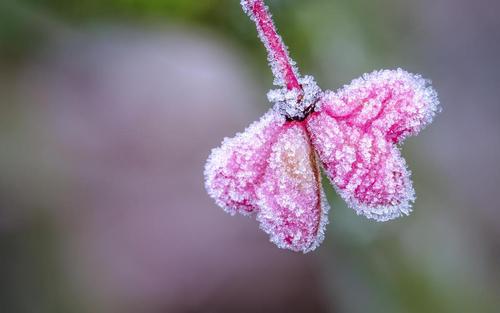 10.回忆家庭生活,在亲人的眼中,您将是一个随意的表情,一个随意的动作