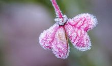 爱的句子大全亲情