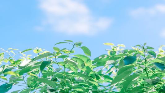 11.您大一岁。你一定越来越高了。老师认为,您还必须比以前更加明智和礼貌。胆小的孩子现在将主动与同龄人互动和合作。会说话的孩子肯定会举手说话。