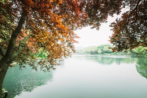 10.这常常使我以后看到希望。上一次又一次，我感到失望。