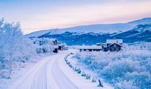 亲情比男朋友重要句子