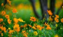 带有思念和不开心的句子