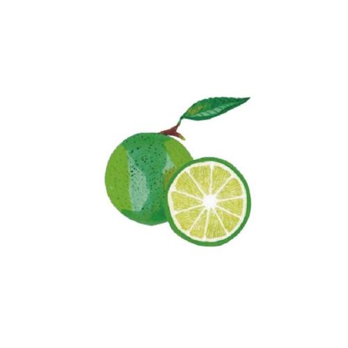 12.它的火焰照耀着温暖我们内心深处凝结的意图！