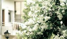 写亲情催人泪下的句子