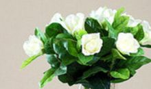 血溶于水的亲情的句子