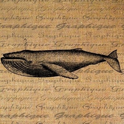 11.早上好,一束阳光照在您的身上,祝您每天快乐,去见财富神,您的梦想成真,今天赢大奖,明天就职朋友的愿望是真诚的。