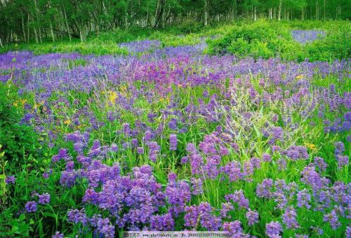 12.酒伴是孤独而孤独的。我发现自己喝醉了，但是我不记得旁边的那个人。只是酒浸透了我的整个身体，发自我的心，只有我的心。