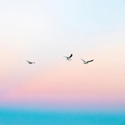 10.家庭之爱，明月，优雅宁静，柔和诱人！