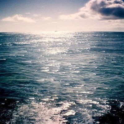 9.生活因见面而美好,朋友因互助而深爱,恋人因彼此了解而彼此相爱,希望爱你的人爱你,爱的人更好地了解你!祝你每天开心