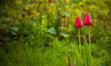 形容亲情断不开的句子