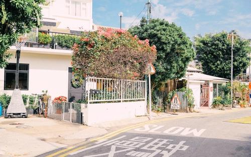 11.他说不清楚,只知道他是快乐的鸟!