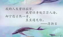 他来了请闭眼经典语录