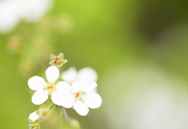 12.我还说过，我做的计算太清楚了，好吧，那么我会给你一个清晰的计算。