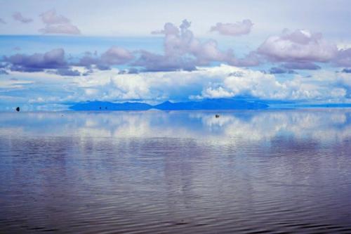 10.草莓，一种非常低的植物。枝叶不明显，白花不明显。如此不起眼的外表并不能阻止它追求和渴望炙手可热的生活。小果实长得如此特殊，心形，细腻，酸甜可口，令人陶醉。尤其是它那快乐的心形脸经常装饰着小小的水晶水滴，就像那颗美丽的爱情上闪闪发光的钻石标志一样令人着迷。