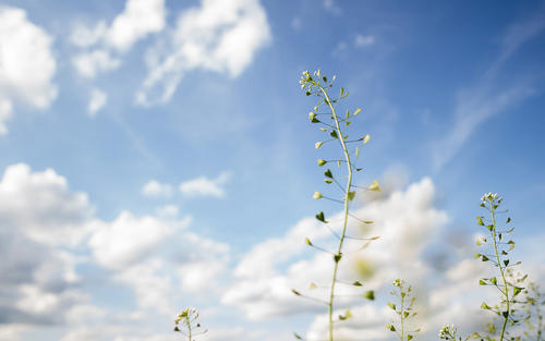 12.成长需要家庭的关爱，但有些人认为成长不需要家庭的关怀。因为他们在家庭的阴影下长大，所以他们一点也不知道。和我一样，我渴望家人的感情，就像渴望在沙漠中喝水的人们一样。