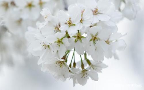 情绪低落的句子