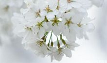 失落的心情句子