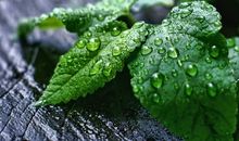 比较煽情的句子关于亲情的